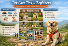 Essential Pet Care Tips for Beginners: Best Dog Exercise Ideas & Fitness Routine for Active Dogs