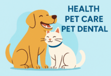 Health, Pet Care & Pet Dental