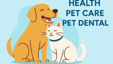 Health, Pet Care & Pet Dental