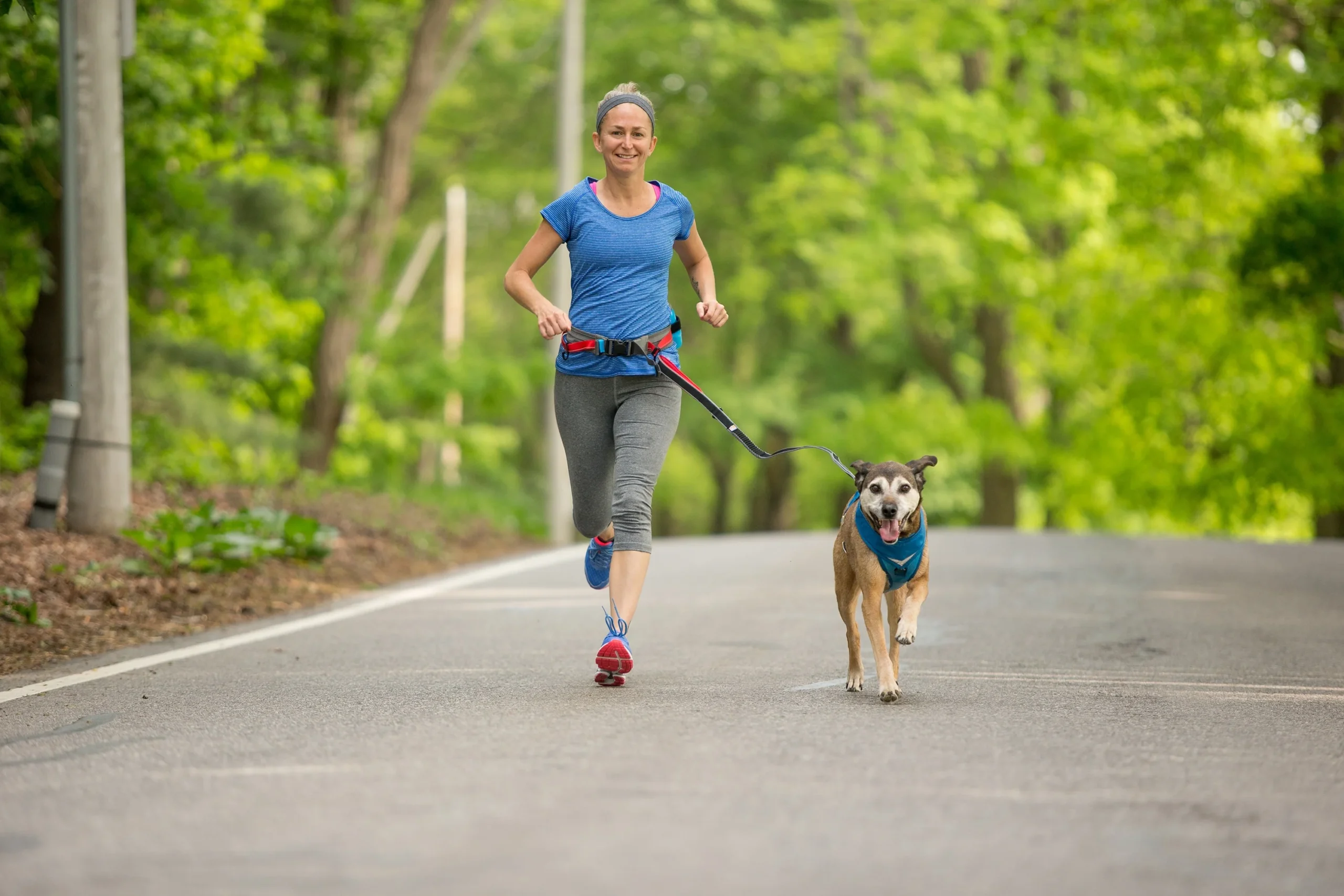 How to Tell if Your Dog is Ready for Running