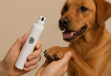 Best Dog Nail Grinder for Safe & Painless Grooming