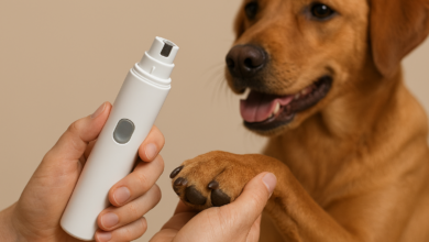 Best Dog Nail Grinder for Safe & Painless Grooming