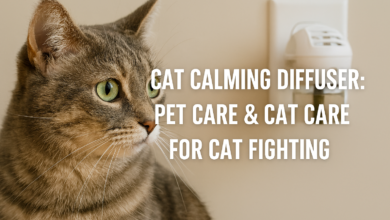 Tabby cat relaxing near a plugged-in cat calming diffuser in a home environment