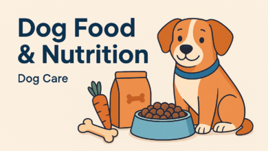 Dog Food & Nutrition and dog care
